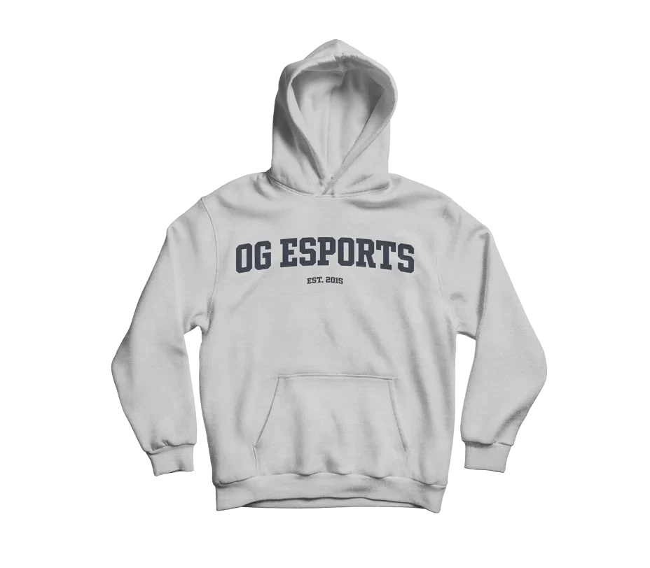 OG Essentials Pullover Hoodie Grey - Image 4